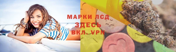 сатива Нязепетровск