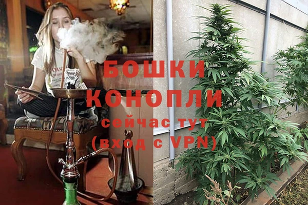 сатива Нязепетровск