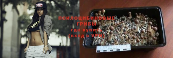 героин Няндома