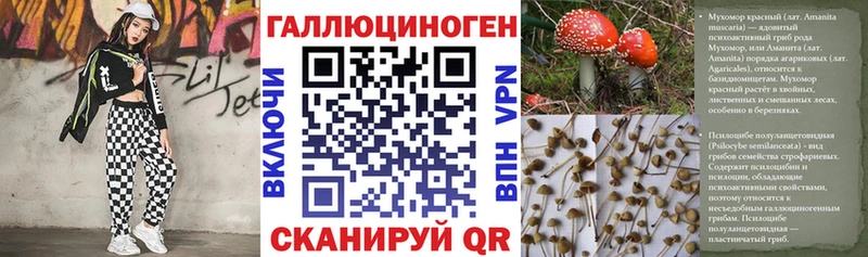 Псилоцибиновые грибы GOLDEN TEACHER  наркотики  Козьмодемьянск 